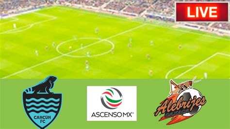 Cancun FC VS Alebrijes De Oaxaca Match Live Score Mexico Ascenso MX