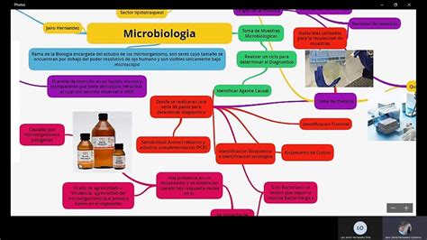 Mapa Mental De Microbiologia LIBRAIN