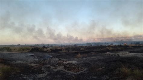 Incendios Durante El Zonda Debemos Trabajar En Las Consecuencias De