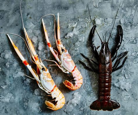 What are the different types of crustaceans? | Gourmet Traveller