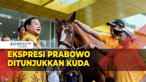 Ekspresi Prabowo Dapat Kejutan Ditunjukkan Kuda Cokelat Oleh Partai