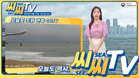 See Sea Tv 2022년 9월 15일 해상 곳곳 풍랑특보 발효 제주도해안과 동해안 너울 주의 해양방송 On바다