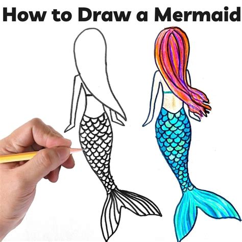 How To Draw A Mermaid Step By Step Drawing Guide Mermaid Drawing | Porn Sex Picture