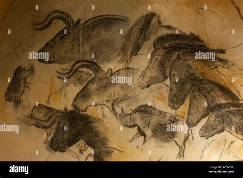 Replica of prehistoric rock paintings in Chauvet Cave, showing Woolly rhinoceros (Coelodonta ...