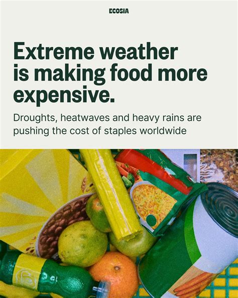 Ecosia - Ever heard of “climateflation”? It’s what happens... | Facebook