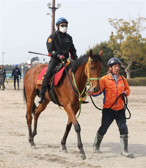 【桜花賞】シンリョクカは決戦の地へ出発 竹内調教師「大きく見せているのでいい感じ」 Umatoku 馬トク