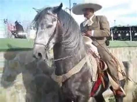 Caballos Bailadores/ Dancing Horses - YouTube