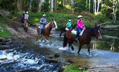 The Ten Best Places to Go Horse Riding Near Sydney - Concrete Playground