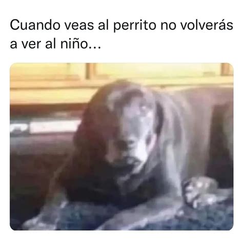 Cuando veas al perrito no volverás a ver al niño Memes