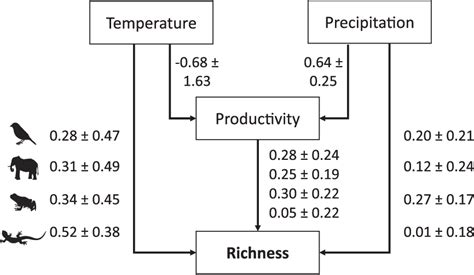 Figure From Spatial Variation In Direct And Indirect Effects Of