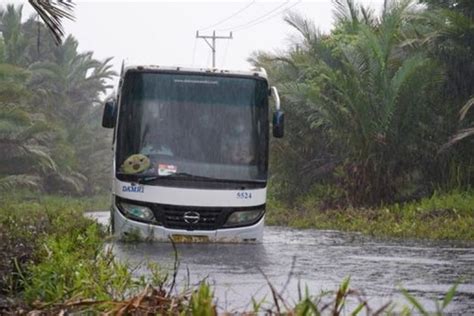 Djoko Setijowarno Jalan Daerah Rusak Penyebabnya Salah Satunya