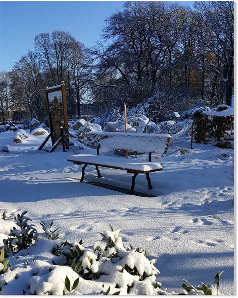 Snow depth in Sweden sets new seasonal record — Earth Changes — Sott.net