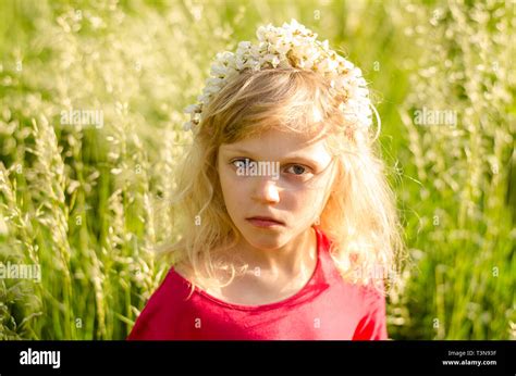 Portrait Of Beautiful Blond Girl With Headband From Flowers In Meadow