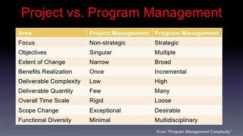 Program Management Skills