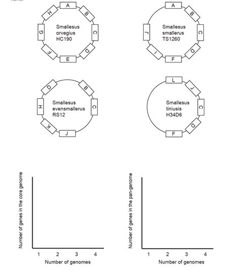 Solved Calculate The Core And Pan Genomes For The Following Chegg