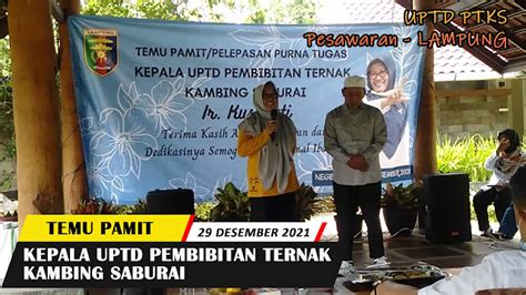 UPTD Pembibitan Ternak Kambing Saburai Lampung