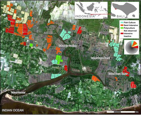 Open Access Surveying Shrimp Aquaculture Pond Activity Using