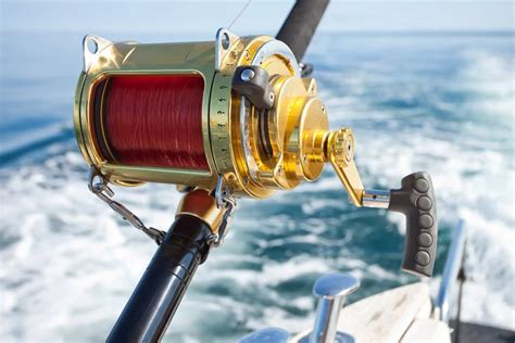 Deep Sea Fishing The Anglers Guide Updated 2025 Blog