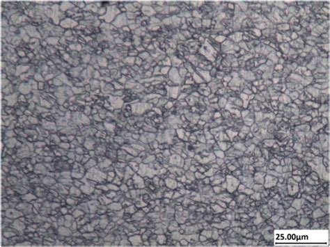 The Original Microstructure Of Az31b Magnesium Alloy Sheet Download