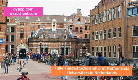 Fully Funded Scholarship In Netherlands Oya School