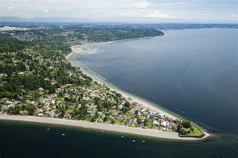 tree point burien photograph  andrew buchananslp pixels