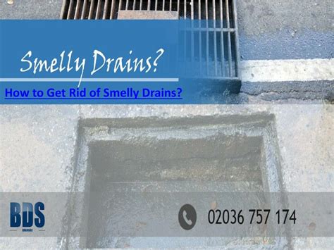 PPT How To Get Rid Of Smelly Drains PowerPoint Presentation Free