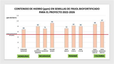 Frijol Rico En Hierro Para La Agricultura Familiar De Am Rica Latina Y