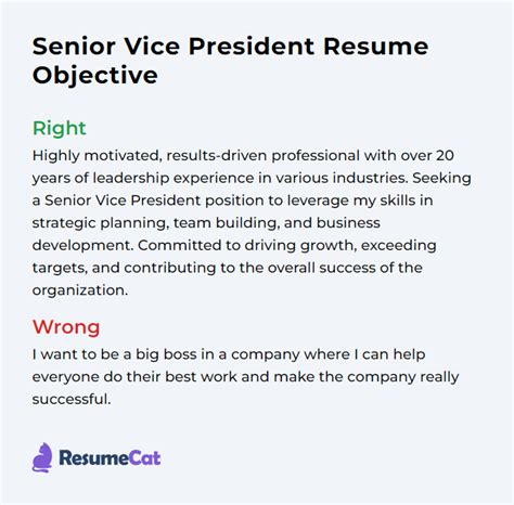 Top 18 Senior Vice President Resume Objective Examples