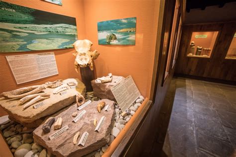 Grottes Préhistoriques de Sare En Pays Basque