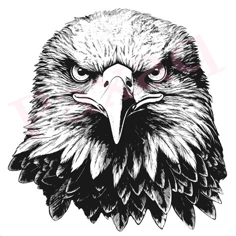 Bald Eagle Svg Stars And Stripes Svg Eagle With National Flag Svg