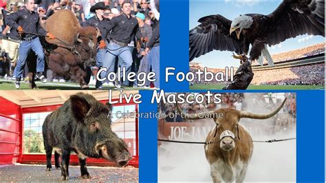 College Football Live Mascots Youtube