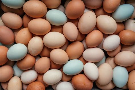 The Incredible Edible Versatile Egg — Rebecca Katz Incredible