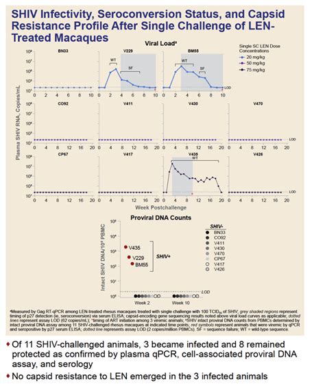 Lenacapavir Protects Against Rectal SHIV Acquisition In Macaque Model