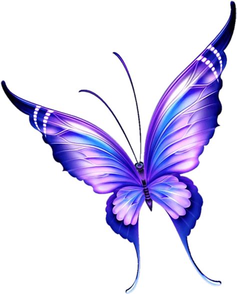 Butterfly Png Transparent Images Page Of Pngfre