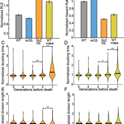 The Fission Yeast Replicative Lifespan RLS A Survival Curves For