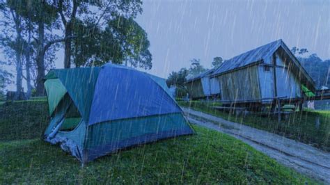 Rain On Tent Sound Rain Sounds To Sleep Study Relax Reduce Stress