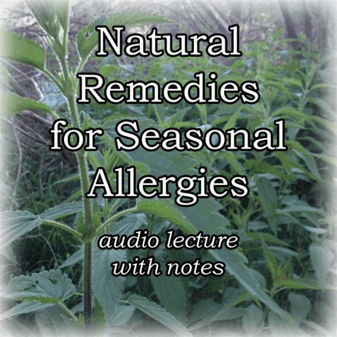 Natural Remedies For Seasonal Allergies · Commonwealth Holistic Herbalism