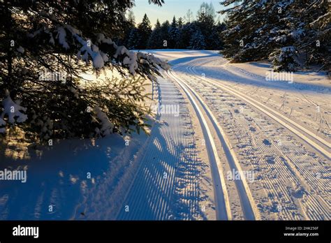 Well Groomed Cross Country Ski Tracks At The Craftsbury Outdoor Center