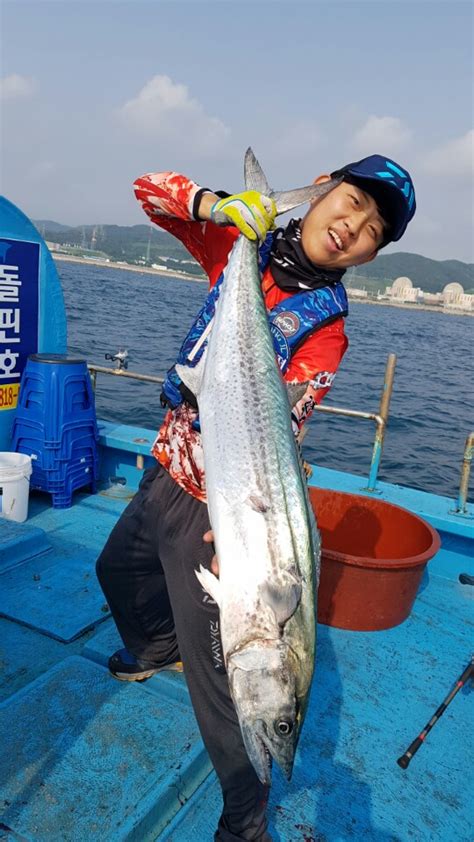 낚시 삼치 매년 미터급 신기록 행진경주 읍천서 시작 포항 일대로 확대되며 ‘대삼치낚시 인기 Ytn