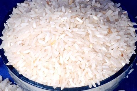 Short Grain Rice White Broken Parboiled Rice Rs Kg Ex Mill