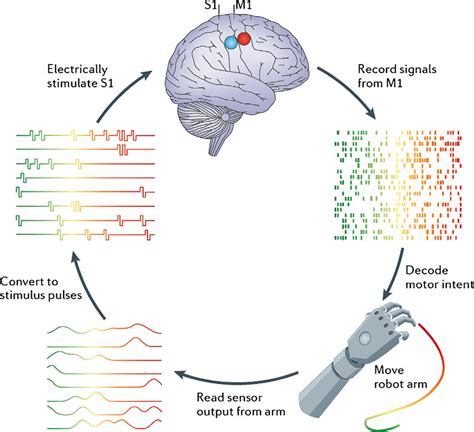 Invasive Brain Computer Interface