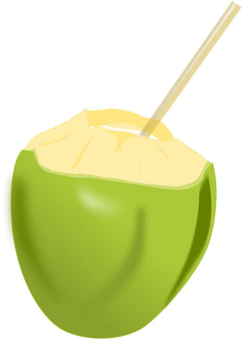 Green Coconut Clip Art