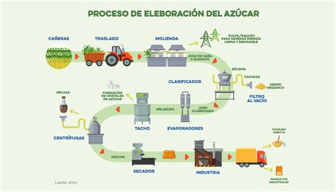 Proceso de producción APAH