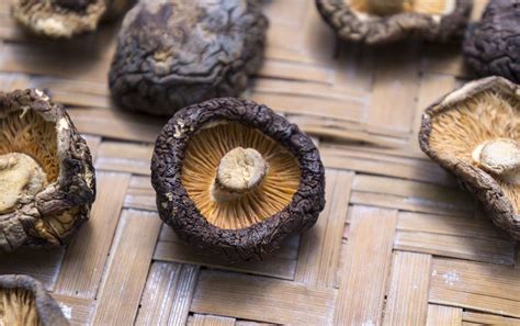 Qué es el shiitake y para qué sirve TuInfoSalud