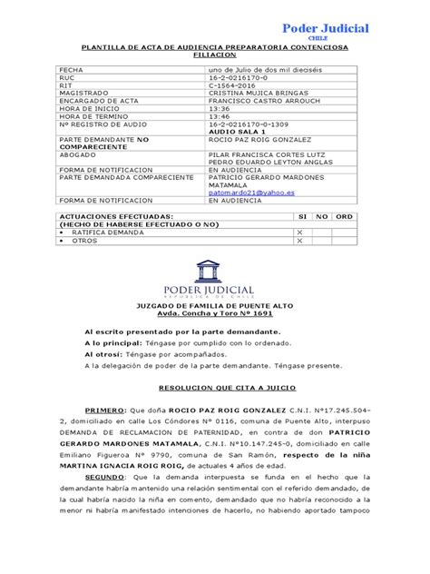 Plantilla De Audiencia Preparatoria Evidencia Derecho Demanda