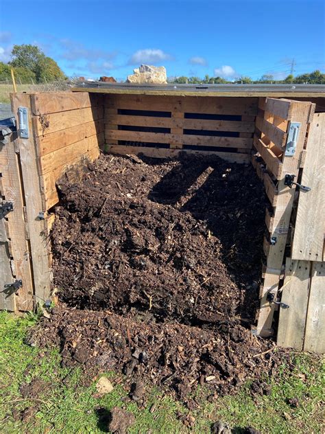 Started On The 1st Of June And Moved Into My Middle Bin 6 Weeks Ago