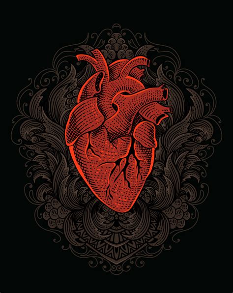 Illustration Human Heart With Engraving Ornament Vector Art At