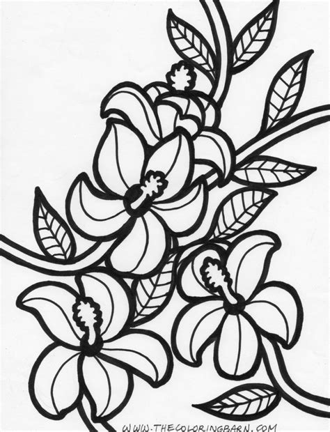 Hawaii Printable Coloring Pages Coloring Nation