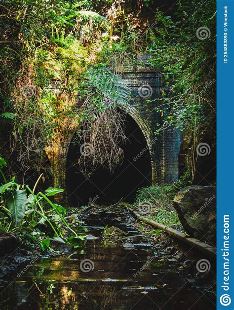 Campbelltown Station Sydney: Essential Travel and Facility Guide 11