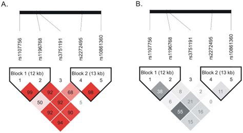 Linkage Disequilibrium Maps For SNPs Genotyped In APPL2 In The Chinese